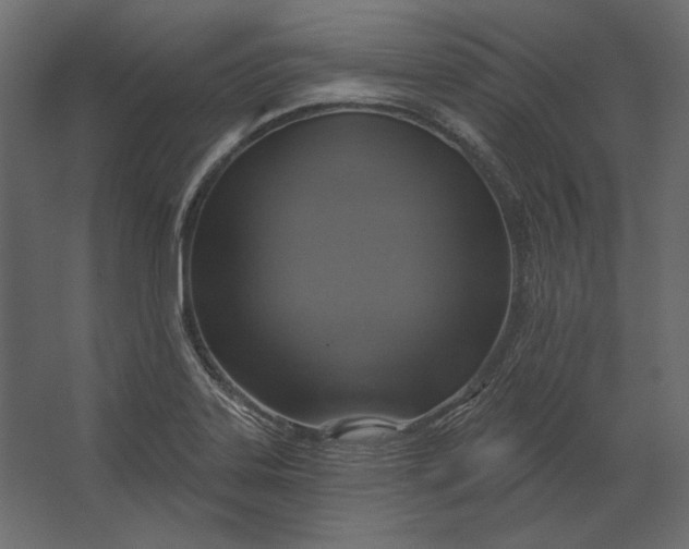 X0000067471323200604211557