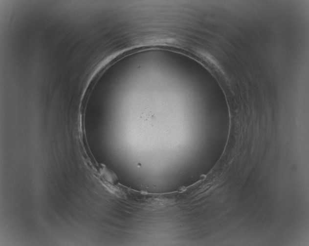 X0000067471324200604211557