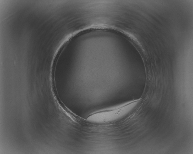 X0000067471327200604211557