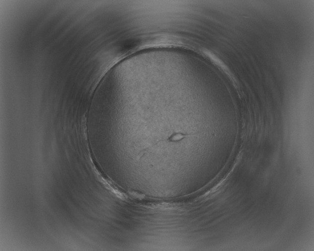 X0000067471329200604211557