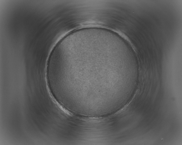 X0000067471333200604211557