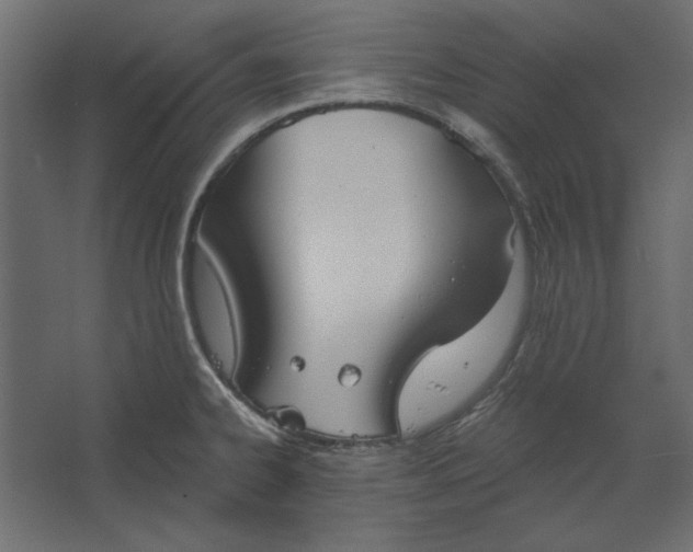 X0000067471334200604211557