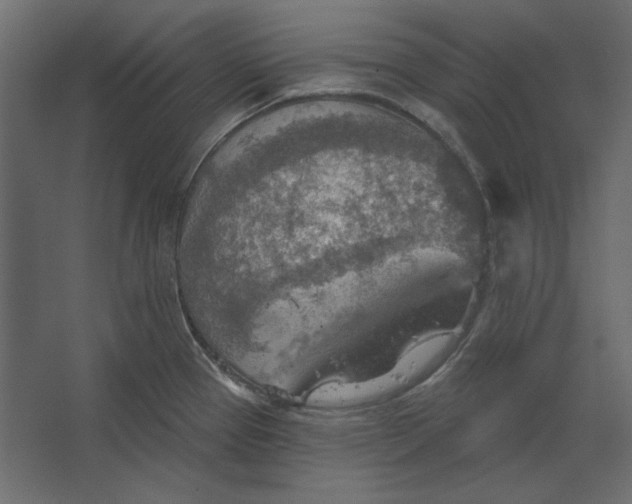 X0000067471337200604211557