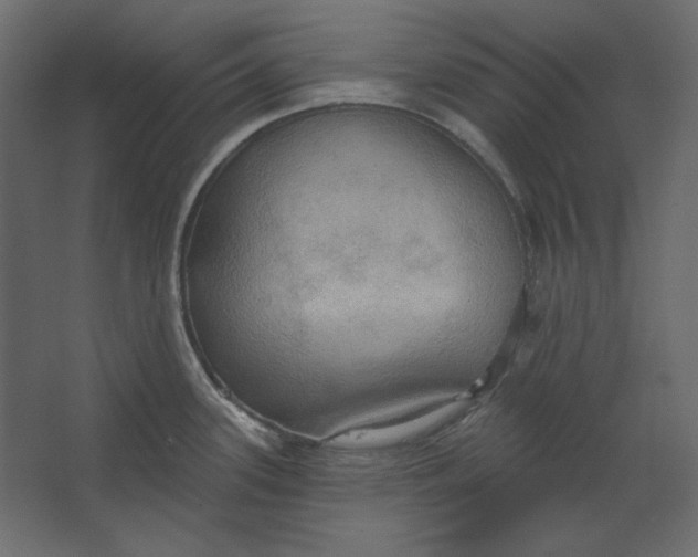 X0000067471339200604211557