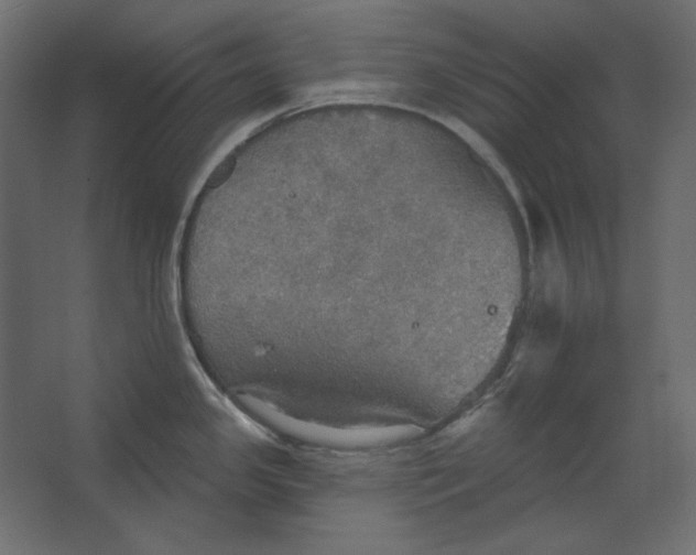 X0000067471341200604211557