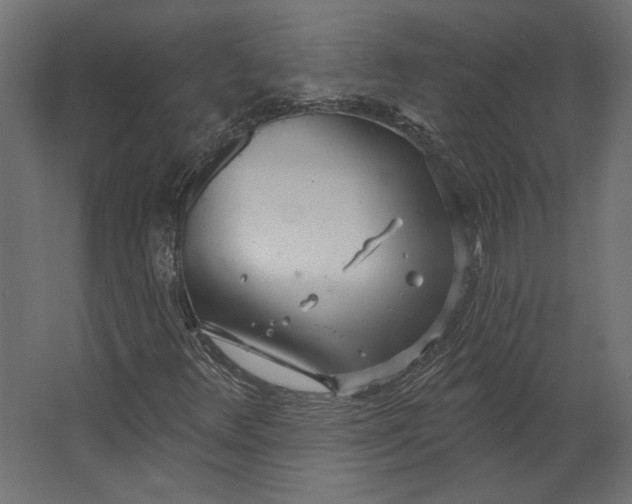 X0000067471348200604211556