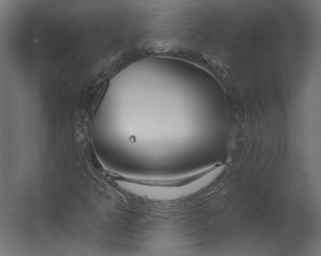 X0000067471349200604211556