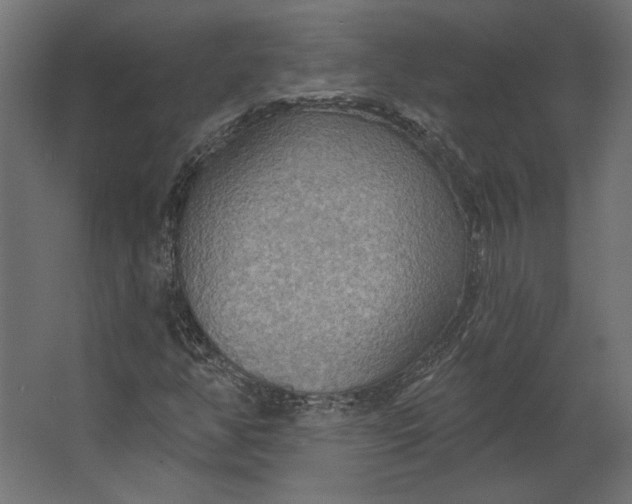 X0000067471350200604211556