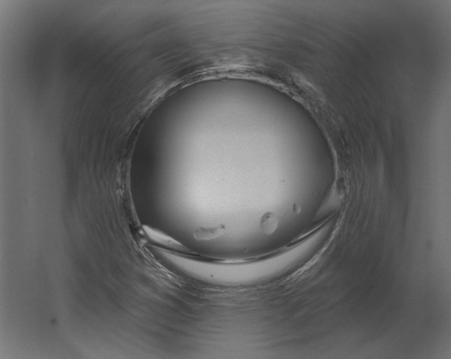 X0000067471353200604211556