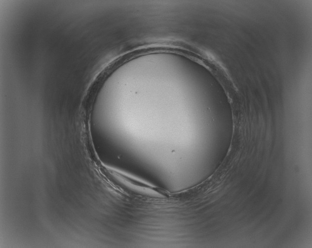 X0000067471360200604211556