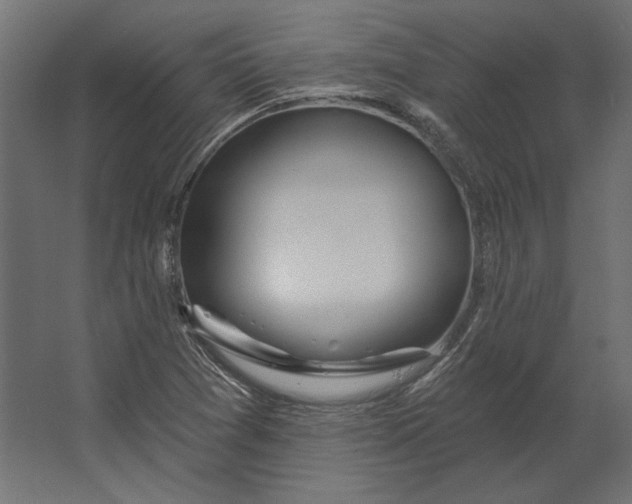 X0000067471361200604211556