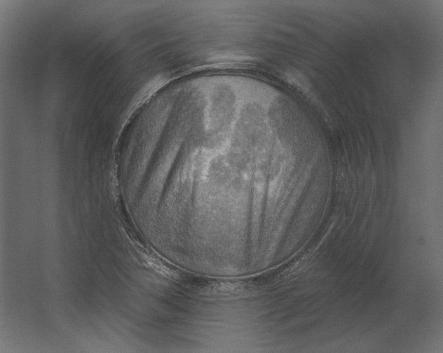 X0000067471362200604211556