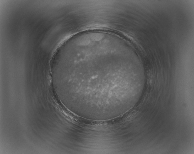 X0000067471363200604211556