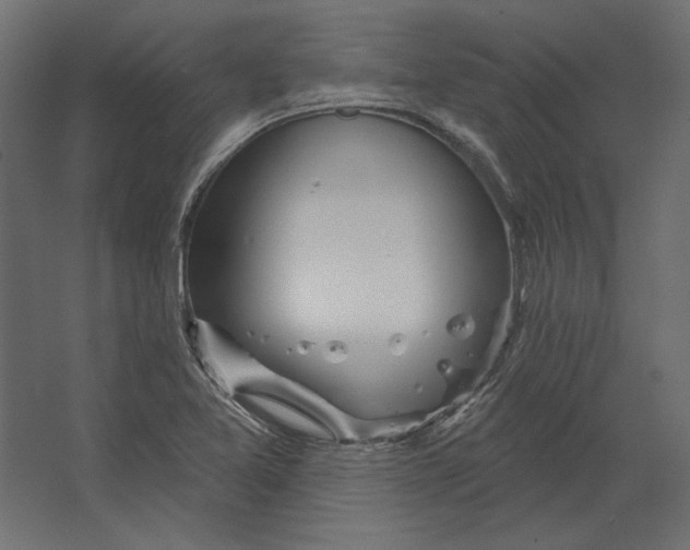 X0000067471365200604211556