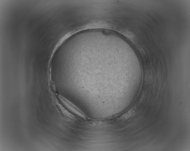 X0000067471366200604211556