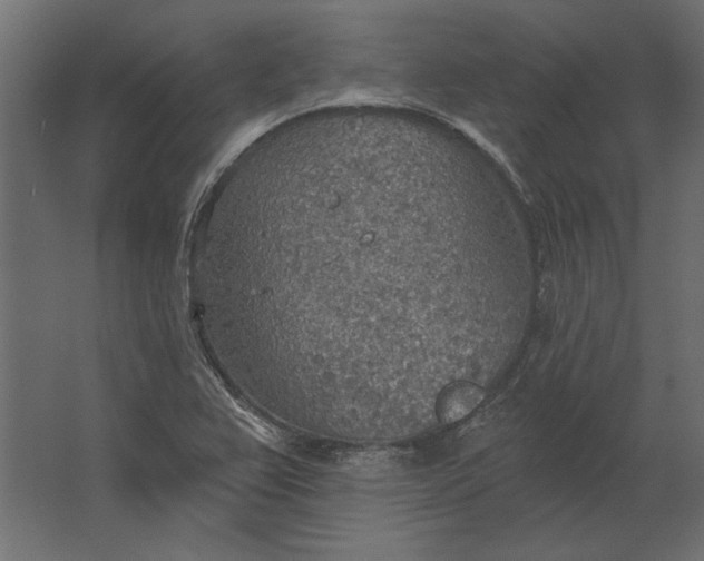 X0000067471367200604211556