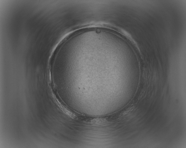 X0000067471368200604211556