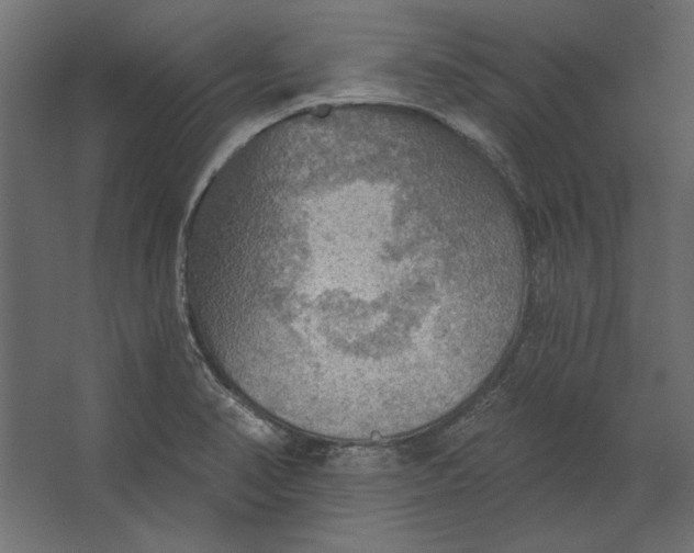 X0000067471374200604211556