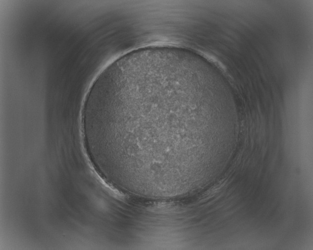 X0000067471375200604211556