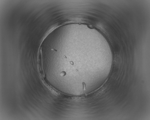 X0000067471378200604211556