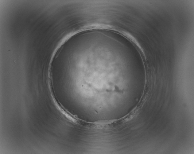 X0000067471381200604211556