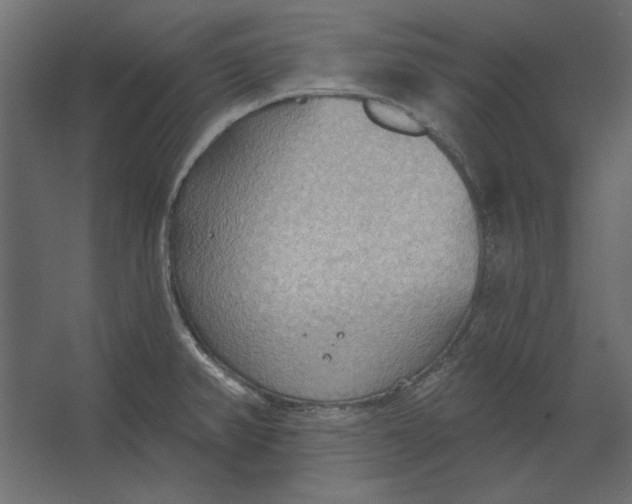 X0000067471382200604211556