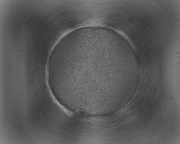 X0000067471383200604211556