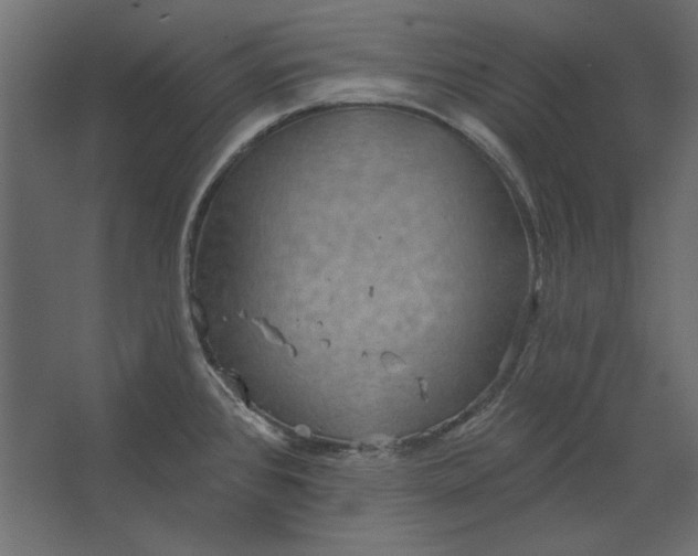 X0000067471384200604211555