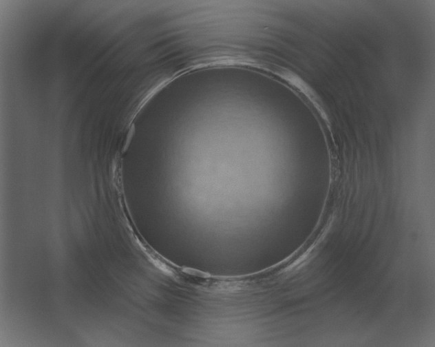 X0000067471385200604211555