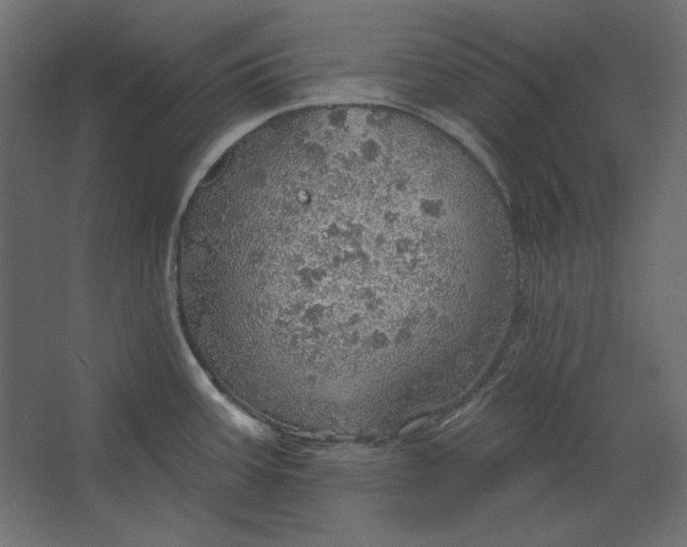 X0000067471387200604211555