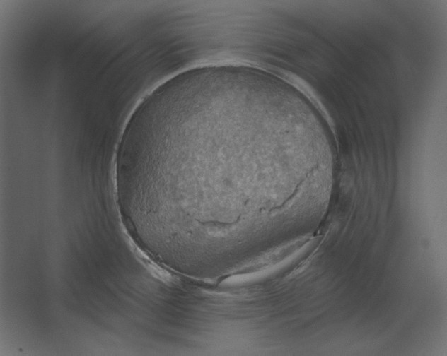 X0000067471388200604211555