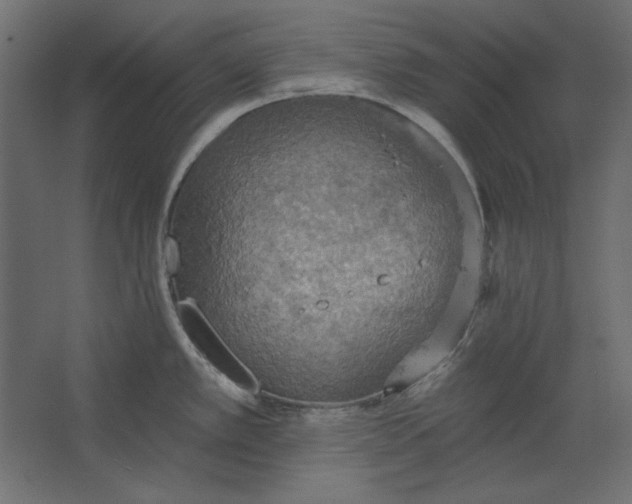 X0000067471389200604211555