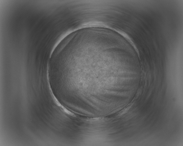 X0000067471390200604211555