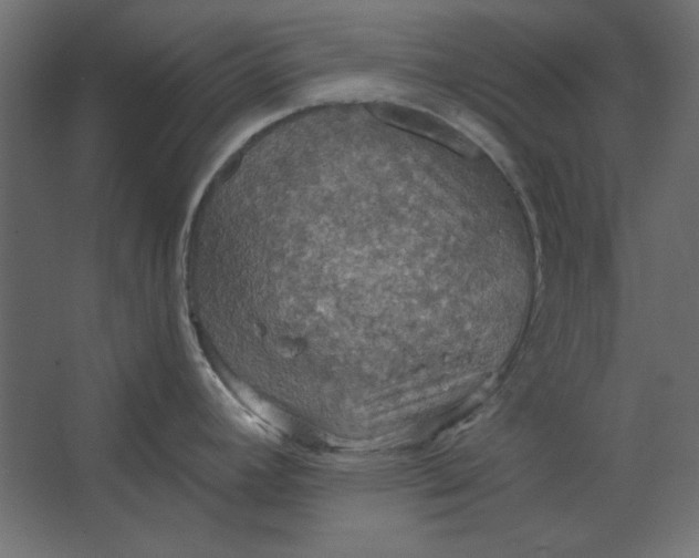 X0000067471392200604211555