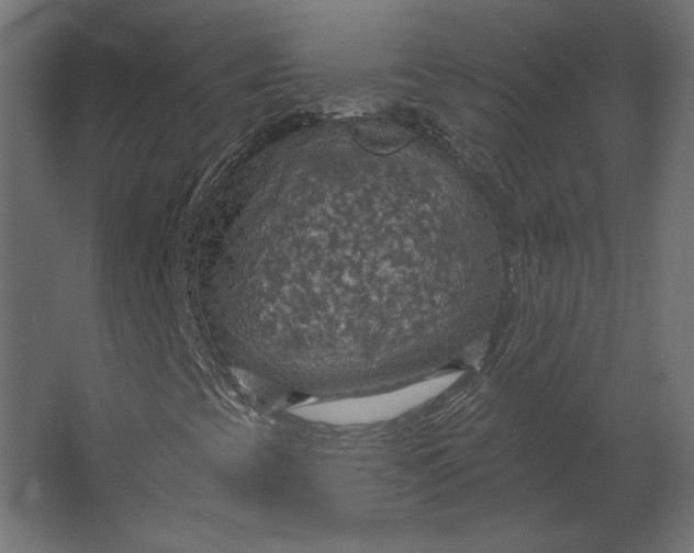 X0000067471393200604211555