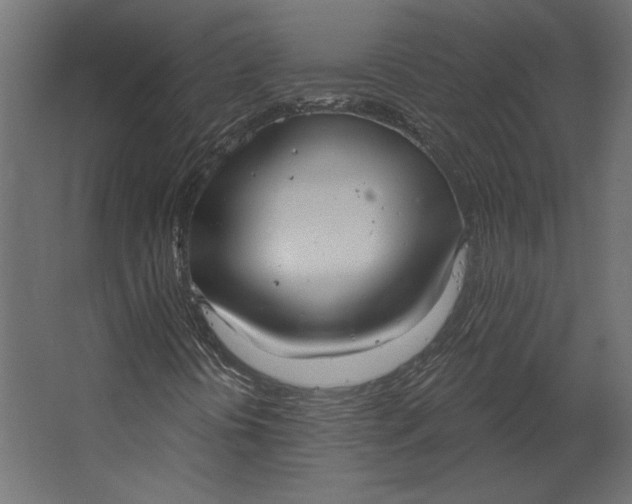 X0000067471394200604211555