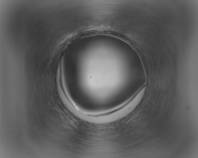 X0000067471398200604211555