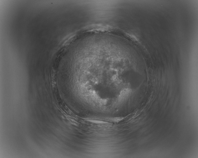 X0000067471399200604211555