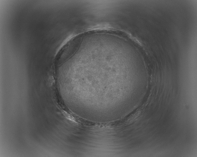 X0000067471400200604211555