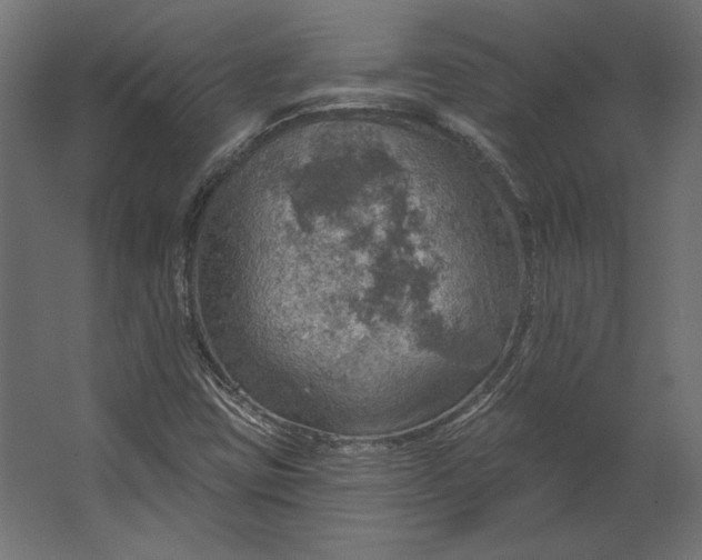 X0000067471403200604211555