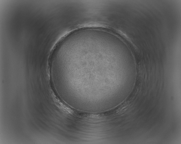 X0000067471408200604211555