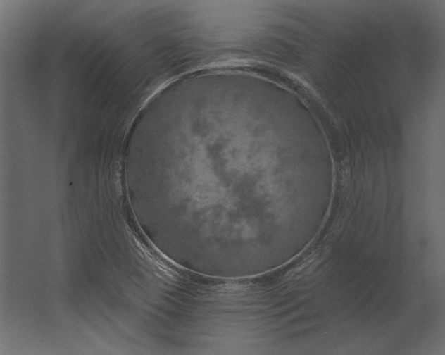 X0000067471409200604211555