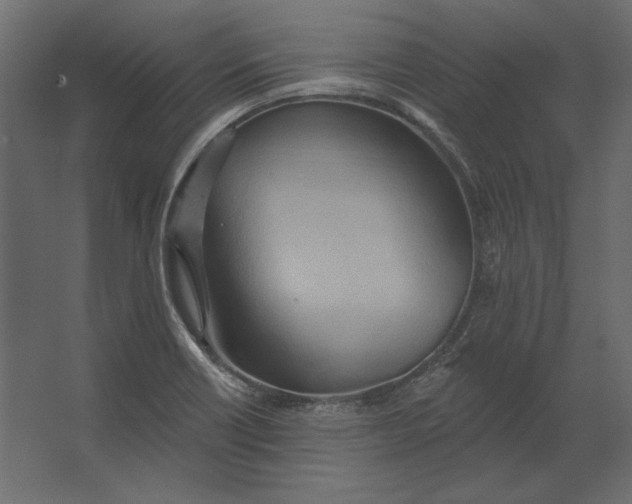 X0000067471418200604211555