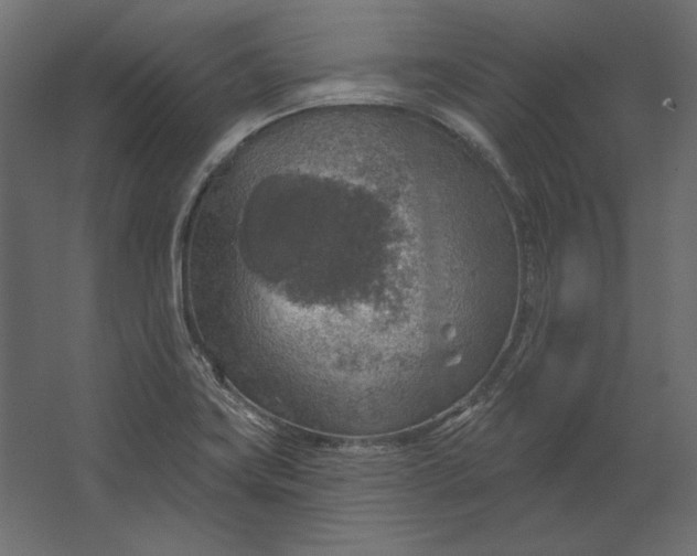 X0000067471419200604211555