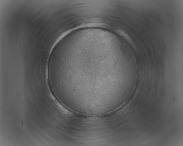 X0000067471420200604211555