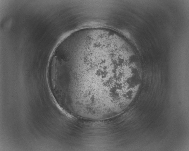 X0000067471421200604211555