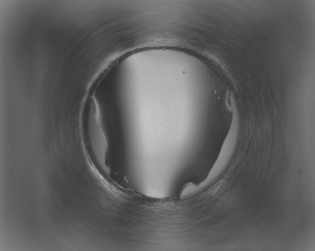 X0000067471422200604211555