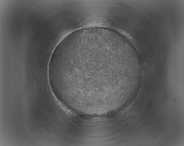 X0000067471423200604211555