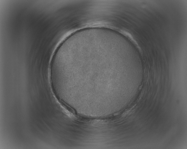 X0000067471424200604211555