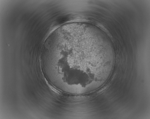 X0000067471425200604211555